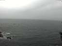 ./images/koeye/fitz-hugh/20160603/fitz-hugh20160603_133301.jpg