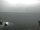 ./images/koeye/fitz-hugh/20160603/fitz-hugh20160603_140301.jpg