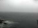 ./images/koeye/fitz-hugh/20160603/fitz-hugh20160603_143302.jpg