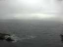 ./images/koeye/fitz-hugh/20160603/fitz-hugh20160603_150302.jpg