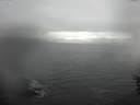 ./images/koeye/fitz-hugh/20160603/fitz-hugh20160603_160004.jpg