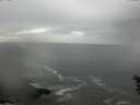 ./images/koeye/fitz-hugh/20160603/fitz-hugh20160603_180004.jpg