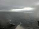 ./images/koeye/fitz-hugh/20160603/fitz-hugh20160603_183302.jpg