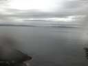./images/koeye/fitz-hugh/20160604/fitz-hugh20160604_050301.jpg