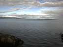 ./images/koeye/fitz-hugh/20160604/fitz-hugh20160604_080302.jpg