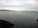./images/koeye/fitz-hugh/20160605/fitz-hugh20160605_063301.jpg