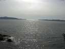 ./images/koeye/fitz-hugh/20160605/fitz-hugh20160605_163301.jpg