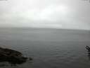 ./images/koeye/fitz-hugh/20160606/fitz-hugh20160606_060005.jpg