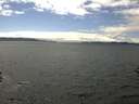 ./images/koeye/fitz-hugh/20160606/fitz-hugh20160606_150303.jpg