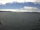 ./images/koeye/fitz-hugh/20160606/fitz-hugh20160606_153303.jpg