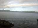 ./images/koeye/fitz-hugh/20160607/fitz-hugh20160607_080004.jpg
