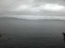 ./images/koeye/fitz-hugh/20160608/fitz-hugh20160608_050302.jpg