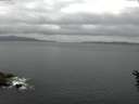 ./images/koeye/fitz-hugh/20160608/fitz-hugh20160608_060005.jpg
