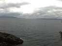 ./images/koeye/fitz-hugh/20160608/fitz-hugh20160608_100006.jpg
