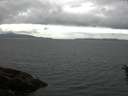 ./images/koeye/fitz-hugh/20160608/fitz-hugh20160608_120005.jpg