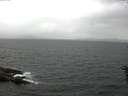 ./images/koeye/fitz-hugh/20160608/fitz-hugh20160608_140303.jpg