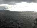 ./images/koeye/fitz-hugh/20160608/fitz-hugh20160608_173302.jpg
