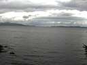 ./images/koeye/fitz-hugh/20160608/fitz-hugh20160608_180004.jpg