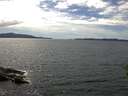 ./images/koeye/fitz-hugh/20160609/fitz-hugh20160609_150302.jpg