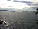 ./images/koeye/fitz-hugh/20160609/fitz-hugh20160609_153302.jpg