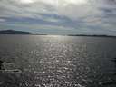 ./images/koeye/fitz-hugh/20160609/fitz-hugh20160609_163302.jpg
