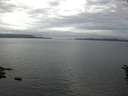 ./images/koeye/fitz-hugh/20160610/fitz-hugh20160610_063303.jpg