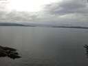 ./images/koeye/fitz-hugh/20160610/fitz-hugh20160610_080004.jpg