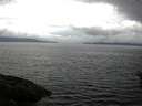 ./images/koeye/fitz-hugh/20160610/fitz-hugh20160610_130303.jpg