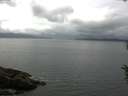 ./images/koeye/fitz-hugh/20160610/fitz-hugh20160610_133303.jpg