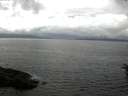 ./images/koeye/fitz-hugh/20160610/fitz-hugh20160610_140302.jpg