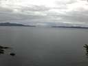 ./images/koeye/fitz-hugh/20160611/fitz-hugh20160611_053302.jpg