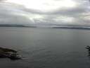 ./images/koeye/fitz-hugh/20160611/fitz-hugh20160611_083301.jpg