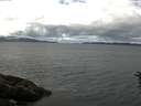 ./images/koeye/fitz-hugh/20160611/fitz-hugh20160611_120302.jpg