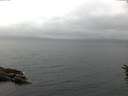 ./images/koeye/fitz-hugh/20160612/fitz-hugh20160612_050302.jpg