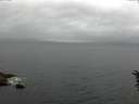 ./images/koeye/fitz-hugh/20160612/fitz-hugh20160612_073302.jpg