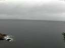 ./images/koeye/fitz-hugh/20160612/fitz-hugh20160612_080301.jpg