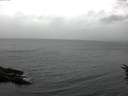 ./images/koeye/fitz-hugh/20160612/fitz-hugh20160612_093301.jpg