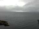 ./images/koeye/fitz-hugh/20160612/fitz-hugh20160612_100301.jpg