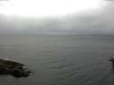 ./images/koeye/fitz-hugh/20160612/fitz-hugh20160612_103301.jpg