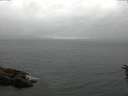 ./images/koeye/fitz-hugh/20160612/fitz-hugh20160612_110301.jpg