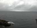 ./images/koeye/fitz-hugh/20160612/fitz-hugh20160612_123303.jpg