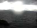 ./images/koeye/fitz-hugh/20160612/fitz-hugh20160612_160004.jpg