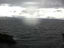 ./images/koeye/fitz-hugh/20160612/fitz-hugh20160612_160303.jpg