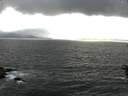./images/koeye/fitz-hugh/20160612/fitz-hugh20160612_183301.jpg