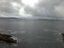./images/koeye/fitz-hugh/20160613/fitz-hugh20160613_050303.jpg