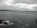 ./images/koeye/fitz-hugh/20160613/fitz-hugh20160613_070303.jpg