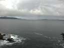 ./images/koeye/fitz-hugh/20160613/fitz-hugh20160613_080301.jpg