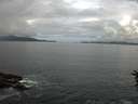 ./images/koeye/fitz-hugh/20160613/fitz-hugh20160613_100303.jpg