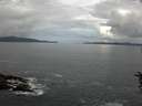 ./images/koeye/fitz-hugh/20160613/fitz-hugh20160613_103302.jpg