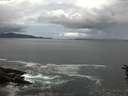 ./images/koeye/fitz-hugh/20160613/fitz-hugh20160613_113303.jpg